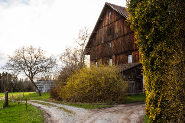 Wooden barn against a vibrant green hillside, showcasing rural life. Idyllic countryside scene with solitary trees.K