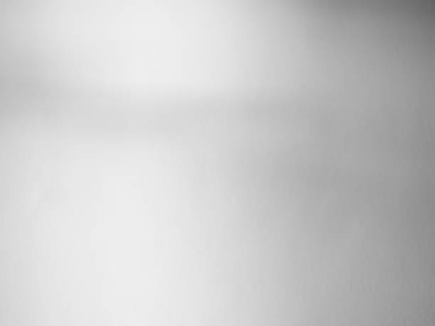 istock Shadow Background Abstract Leave Overlay Wall Floor Light Effect White Plant Sunlight Backdrop Mockup Minimal Spring Summer Nature Grey blur Photography Scene Template Poster Card Frame Product. 2060270509