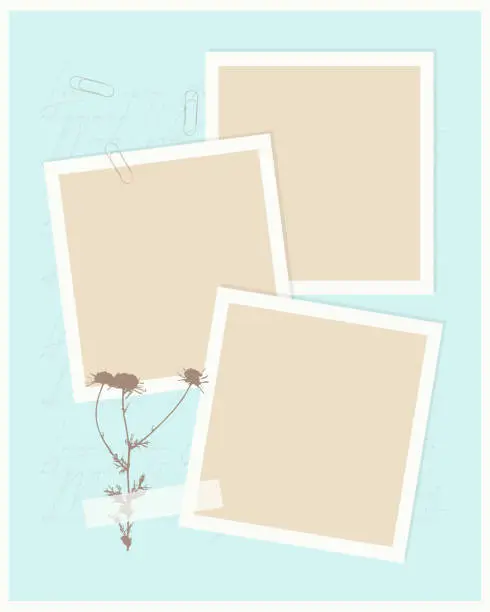 Vector illustration of Template vintage collage for photo book, reminders, social media, notes, to do list. Scrapbooking herbarium chamomile.