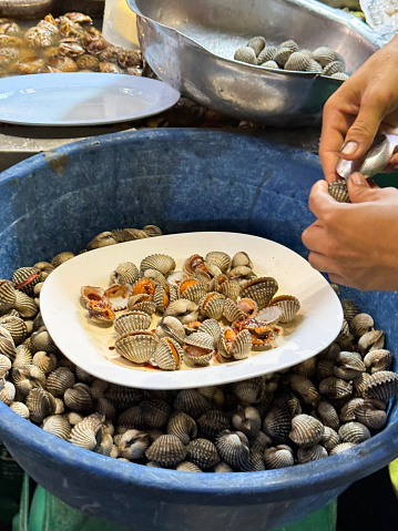 Stock photo showing close-up, elevated view of a bowl of freshly caught pile of shellfish, cockles being prepared for eating before being sold at the fish market fishmongers.
