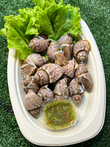 Stock photo showing close-up, elevated view of a plate of freshly caught shellfish, sweet Asean tiger clams (sea welks) served with lettuce leaves and dipping sauce in single-use, disposable plastic container.