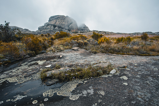 Andringitra national park, Haute Matsiatra region, Madagascar, beautiful mountain landscape, trail to high peak in mist and fog. Hiking in Andringitra mountains. Madagascar wilderness landscape.