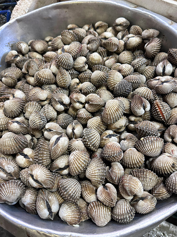 Stock photo showing close-up, elevated view of a metal bowl of freshly caught pile of shellfish, cockles in crushed ice, which is keeping them chilled and fresh before being sold at the fish market fishmongers.