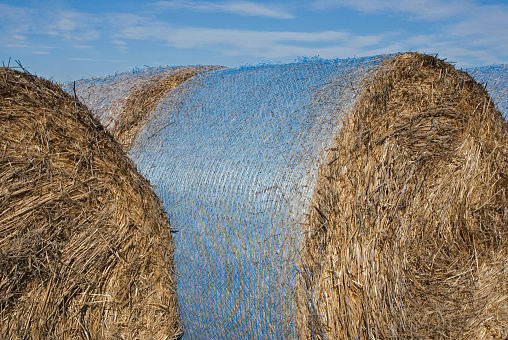 wrapped hay bales close up