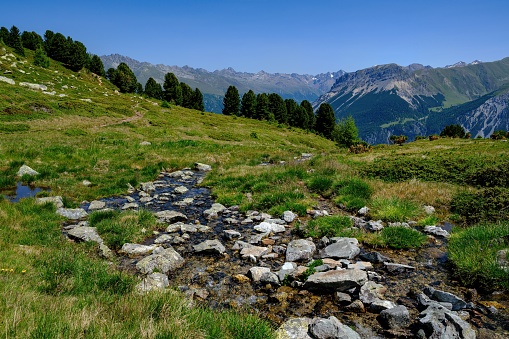 A small alpine stream flowing between the stones on a splendid summer day in South Tyrol