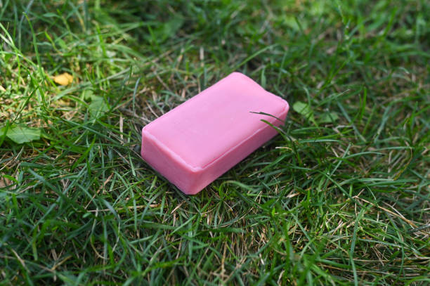 toilet soap on the green grass