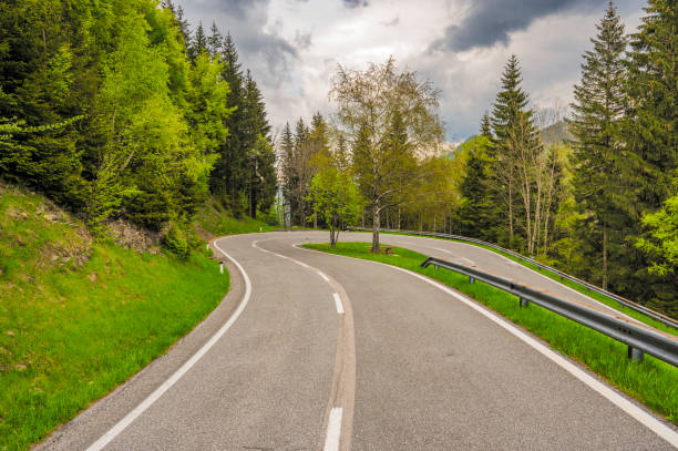 istock Road in an Alpine valley through a forest during springtime 2060356391