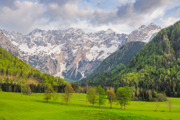 Zgornje Jezersko valley in Slovenia view during a beautiful springtime day with the mountain range around the Grintovec mountain peak in the Kamnik–Savinja Alps.