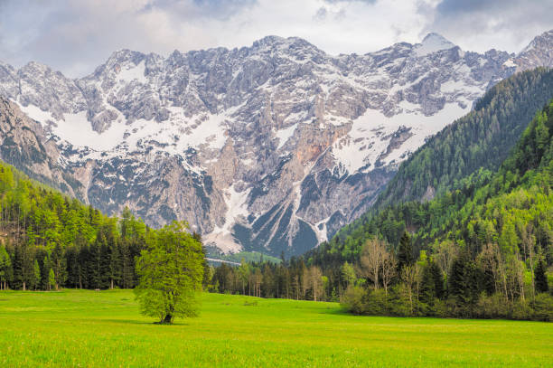 istock Zgornje Jezersko valley landscape view during springtime 2060359555