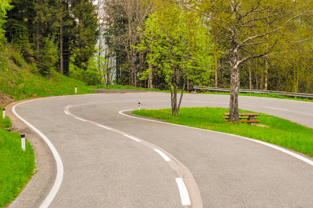 Dried daisies, winding road in the background
