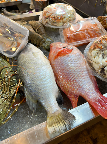 Stock photo showing close-up, elevated view of a display of seafood with whole freshly caught fish and crustaceans displayed on crushed ice at a fish market fishmongers.