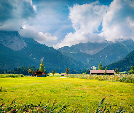Green meadow on the Golf club Zugspitze, Lermoos village loccation. Colorful summer morning in  Austrian Alps, Reutte district, state of Tyrol, Austria, Europe. Artistic style post processed photo.