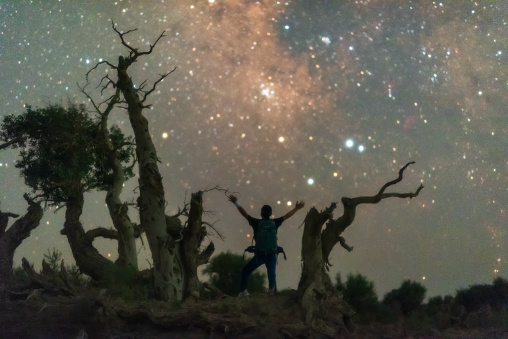 china, in July 2023. Yiwu Populus euphratica forest（伊吾胡杨林） is one of the only three remaining Populus euphratica forests in the world. The Populus euphratica in the photo is 6000 years old, It`s the most concentrated Populus euphratica forest in China., The picture was taken at the Populus euphratica Scenic Area in Hami, Xinjiang