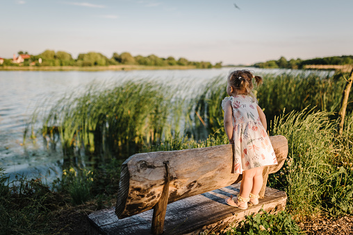 Kid on a bench on the shore of the lake at sunset. Girl in the summer park. Child walking outdoors. A family walk with children. Back view.
