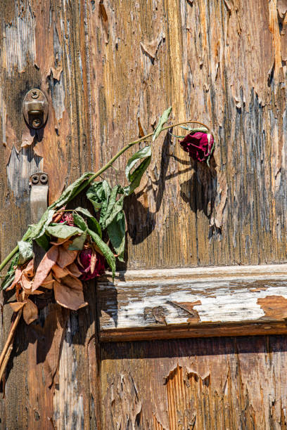 Dried roses left at the door