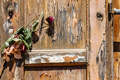 Dried roses left at the door