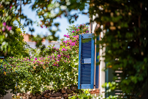 Cunda - Blue shuttered window and bougainvillea flower of an old house on Alibey Island