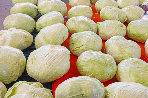 white cabbages on the market stall.