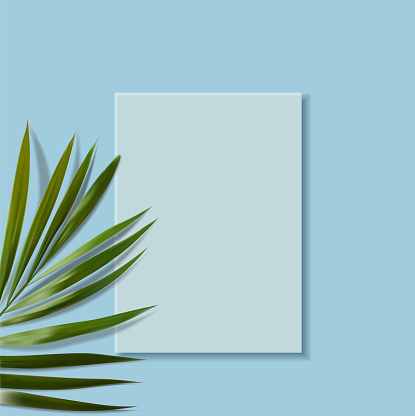 Realistic minimalist scene with tropical leaves and blue scene top view, 3d scene for cosmetics, vector