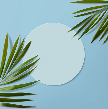 Realistic minimalist scene with tropical leaves and blue scene top view, 3d scene for cosmetics, vector