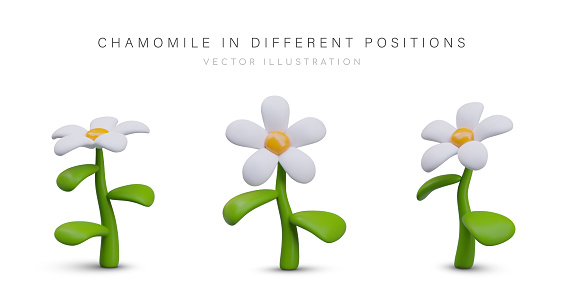 3D daisy in different positions. Colored flower in plasticine style. Vector template for summer, spring creatives. Beautiful chamomile on white background