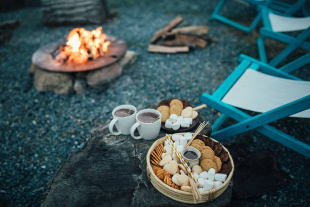 istock Marshmallows for roasting on a tray with campfire on the background. 2060471329