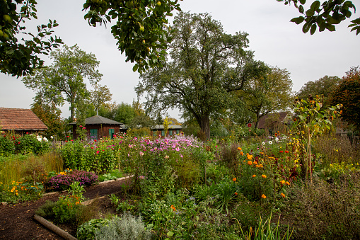 Beautiful farm garden with flower beds, vegetable plants and trees