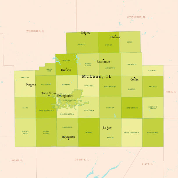 ilustrações, clipart, desenhos animados e ícones de il mclean county mapa vetorial verde - hudson massachusetts