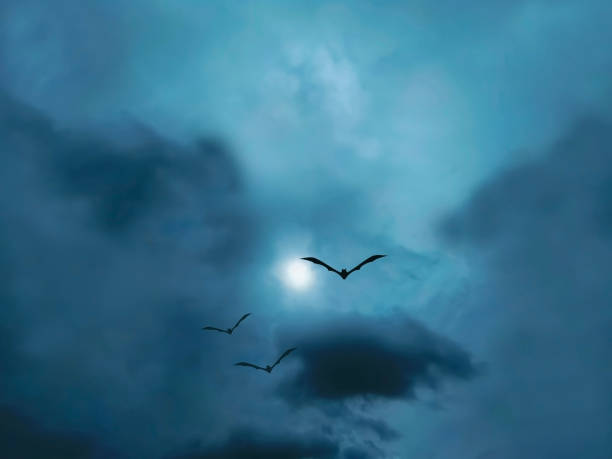 The beautiful dramatic night sky with bat silhouettes. Layers of clouds swirl and intertwine, painted in shades of lavender, rose, and azure.