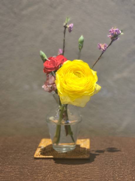 istock Beautiful flowers rose 2060589102