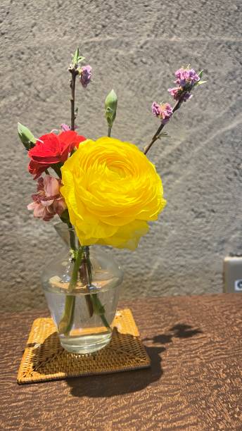 istock Beautiful flowers rose 2060589143