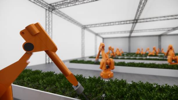 istock Robot Arm  warehouse plants vegetables indoors for efficient cultivation. 2060606658