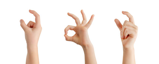 istock Isolated holding hands with two finger and good, perfect hand gestures on white background 2060627107