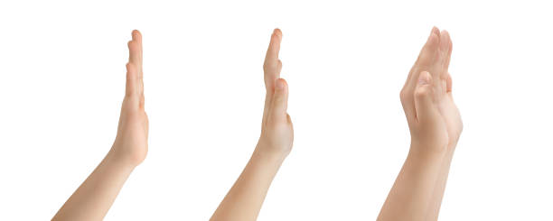 istock Hands in various gestures. Representing, showing, outstretched, holding gestures isolated on white background 2060627113