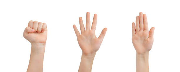 Child's isolated hand. Expressing closed, spread, and stop gestures, encouraging communication and understanding through hand signals