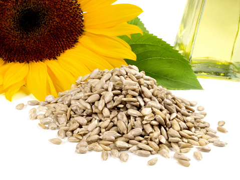 Sunflower Seeds with Sunflower Blossom and Sunflower Oil on white Background - Isolated