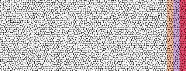 Vector illustration of Stone cell background pattern vector, black white glass mosaic texture illustration, random geometric pebble tile grid graphic, gravel net mesh scale, rough skin leather backdrop template image