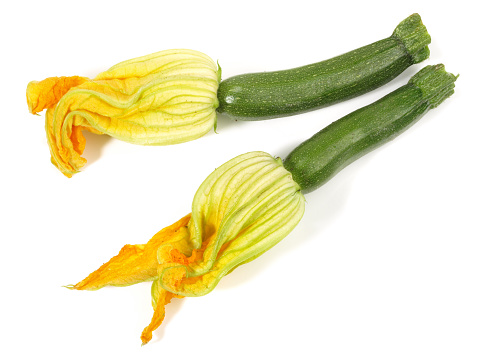 Zucchini Blossoms on white Background - Isolated