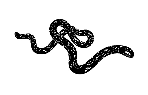 Slender snake silhouette. Monochrome serpent line art. Black patterned viper. Venomous reptile with geometric shapes on scale. Poisonous cold blooded animal. Flat isolated vector illustration on white.