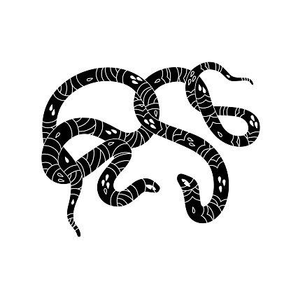 Two curled snakes silhouette. Black striped vipers line art. Monochrome venomous serpents with patterned scale. Mystic cold blooded animals. Flat isolated vector illustration on white background.
