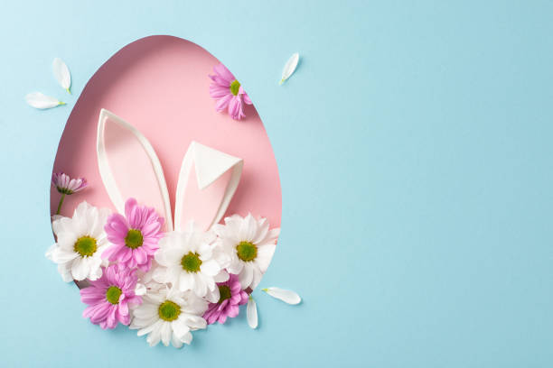 istock Joyful Easter creative scene. Top view photo showcasing amusing bunny ears popping out of an egg-shaped aperture, encircled by fresh chrysanthemums on a pastel blue backdrop, space for text 2060685019