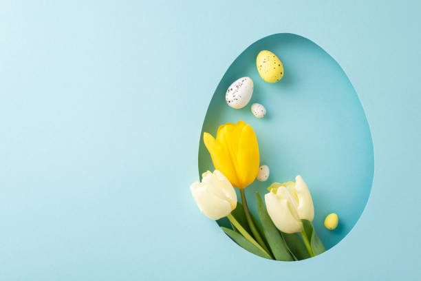 istock Delightful Easter artistic theme. Overhead image of vivid tulips and colored eggs, glimpsed through an egg-formed gap on a pastel blue setting, with free space for heartfelt wishes or marketing 2060685034