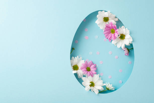 istock Innovative Easter greeting concept. Overhead photo capturing vivid chrysanthemums and confetti, visible through egg cutout on pastel blue canvas, with vacant space for personalized text or advert 2060685044