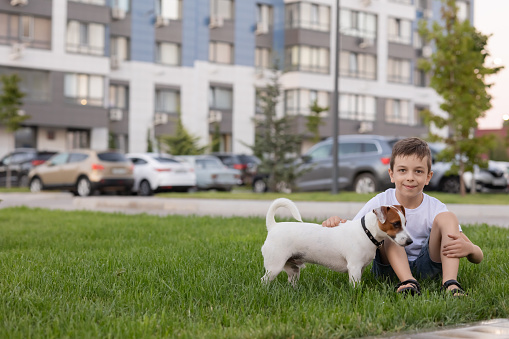 Caucasian Boy 8 years old is sitting with his dog purebred Jack Russell on the lawn during a walk in a summer evening in the city. Care and friendship with a dog, faithful companion, place for text