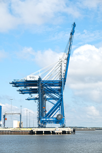 Charleston, SC, USA - March 04, 2024: The ship-to-shore cranes of Hugh K. Leatherman Terminal, with lift height of 169 feet and outreach of 228 feet, able to serve the largest container ships calling on East Coast ports.