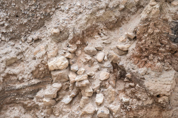 istock Jericho, biblical places, Israel 2060708508