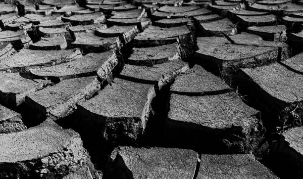 Background of cracked dry earth