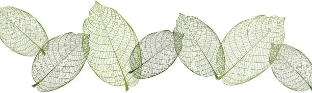 Vector illustration of Beautiful background with leaves vein. Vector illustration.