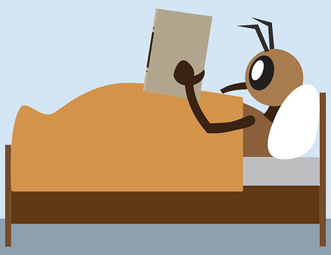 A cartoon bug is lying comfortably in bed reading a book