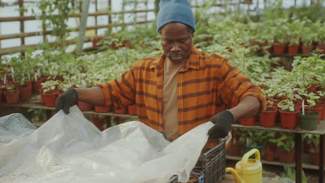 Farmer Covering Sprouts with Plastic Wrap in Greenhouse